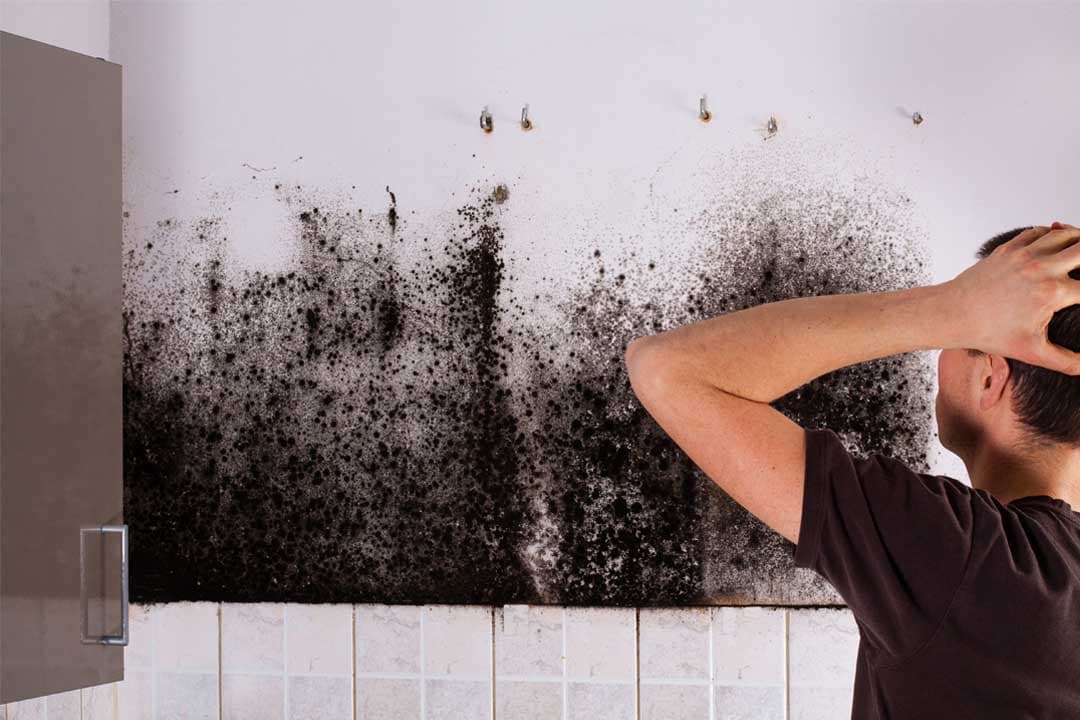 Why mould keeps coming back
