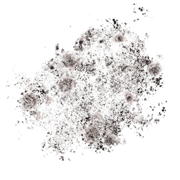 Mould Removal