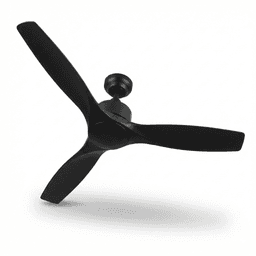 Ceiling Fans